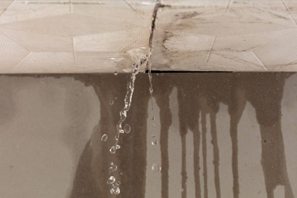 Professional Structural Drying technician working in Burnsville, NC